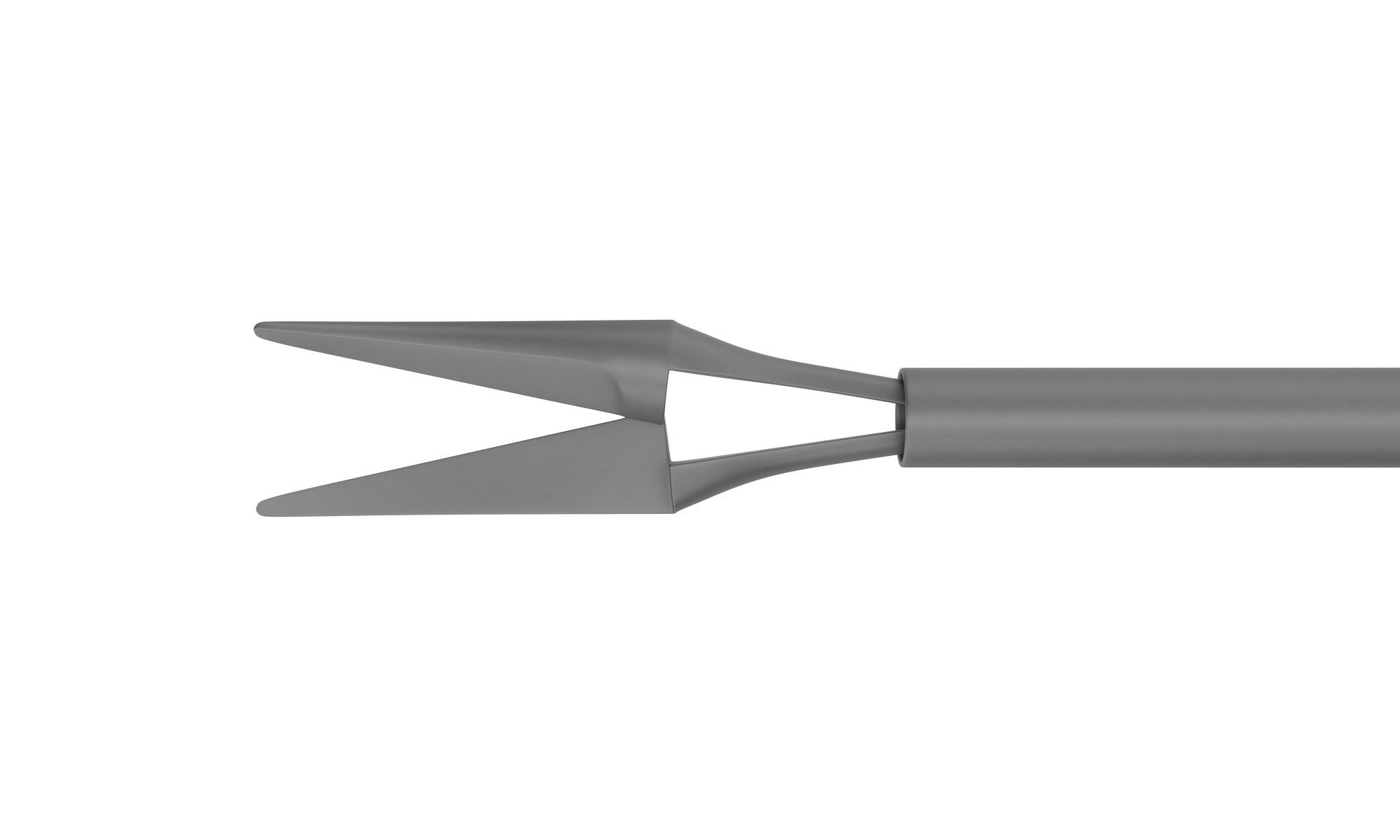 Reusable Posterior Scissors – Rumex COM — Rumex.COM
