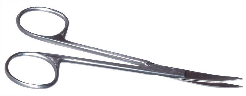 343R 11-101S Knapp Curved Strabismus Scissors, Ring Handle, Length 115 mm, Stainless Steel